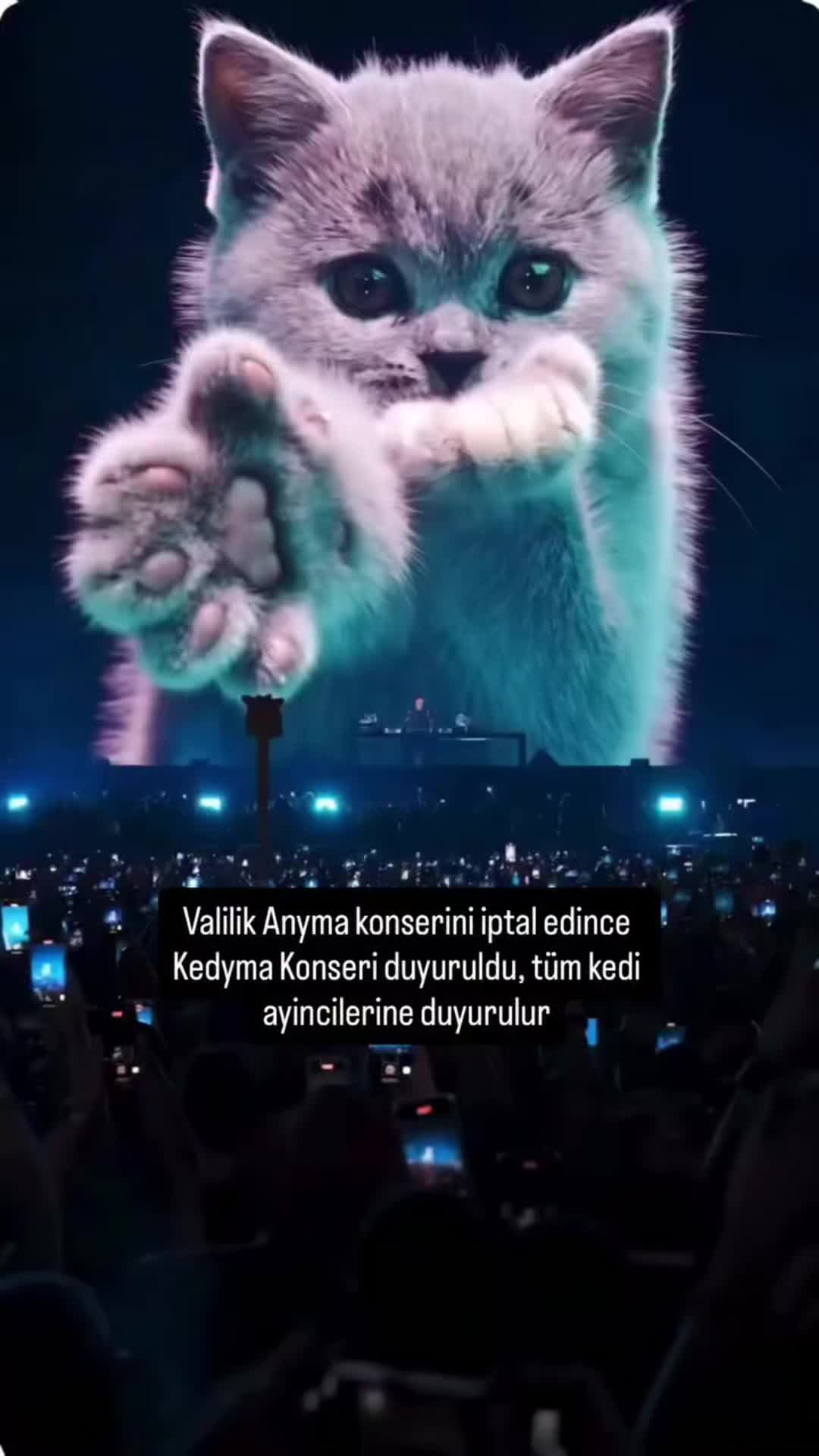 @deniz
