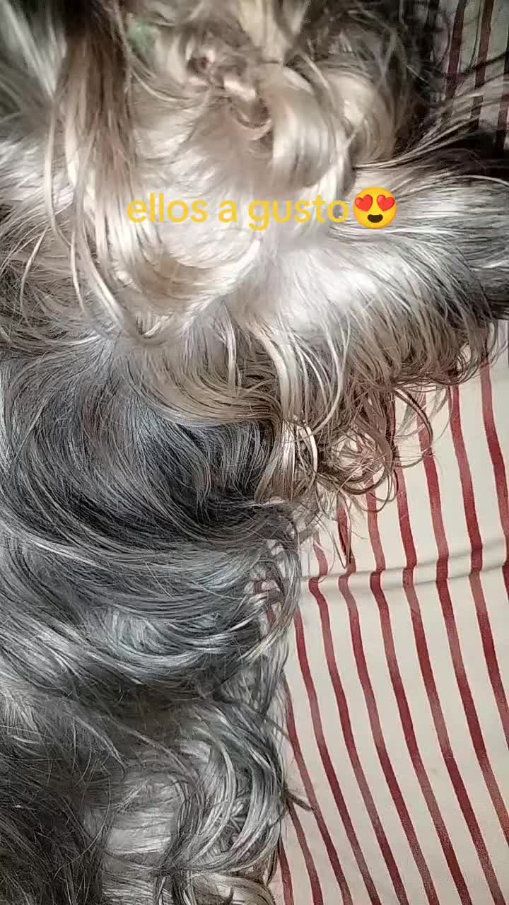@Silvanna Lafontaynne