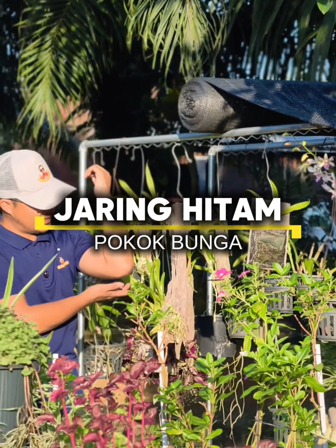 @Budak_Kampung