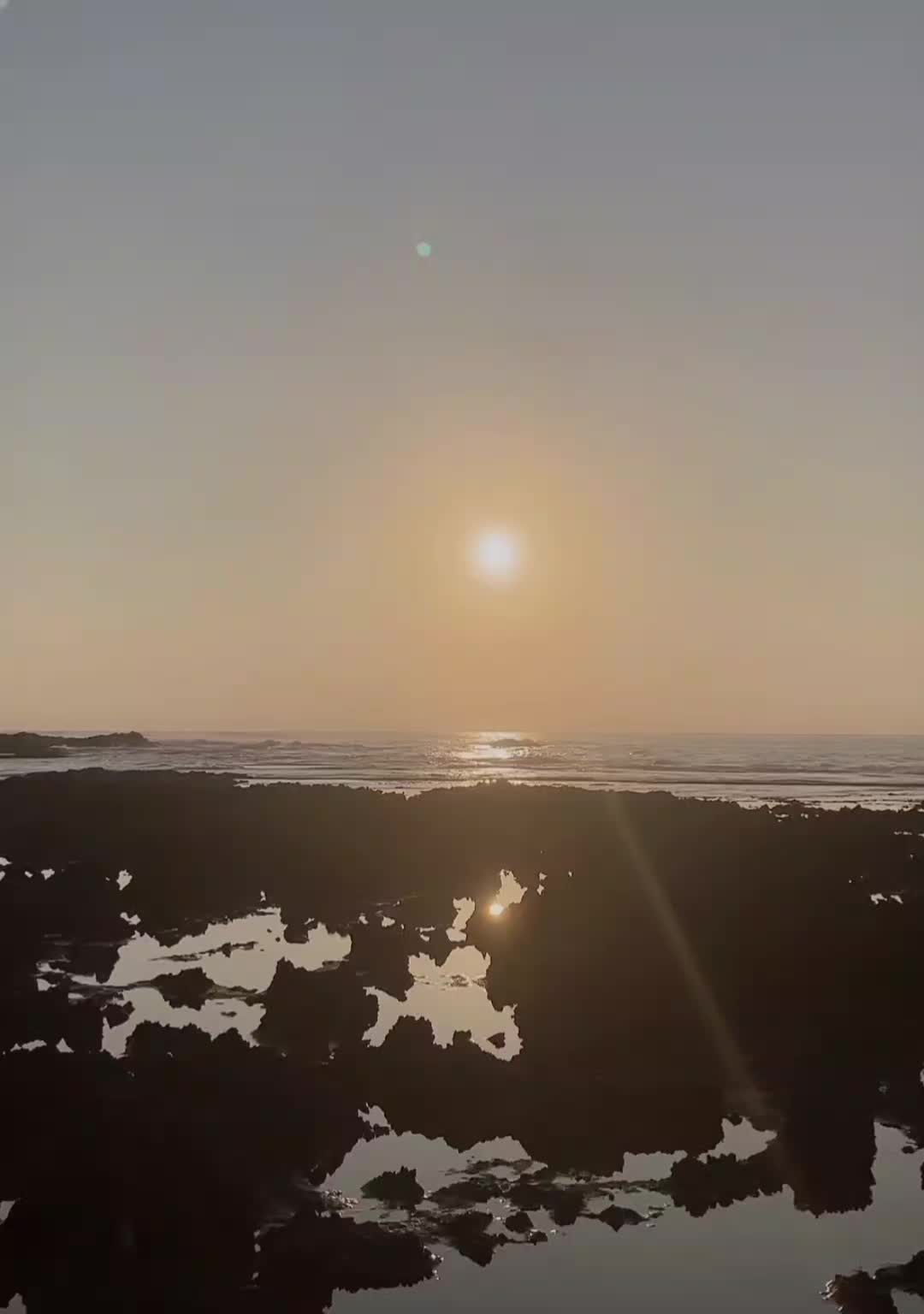 @바다양