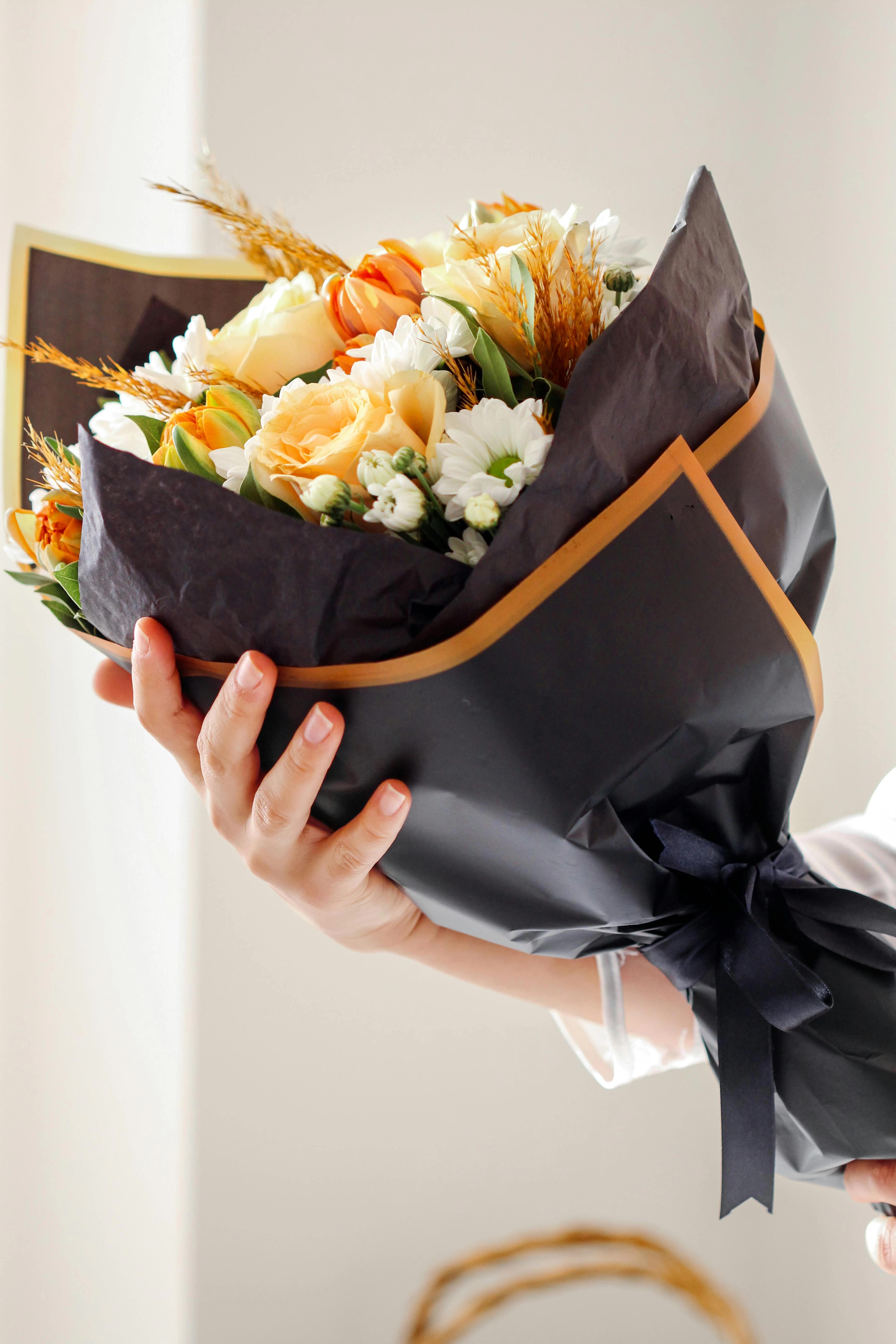 @نور الأمل