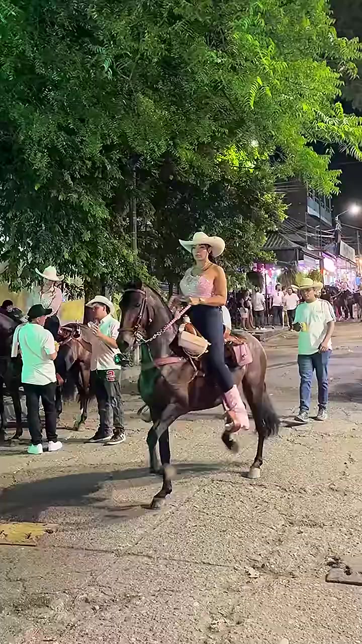 @Só Modão