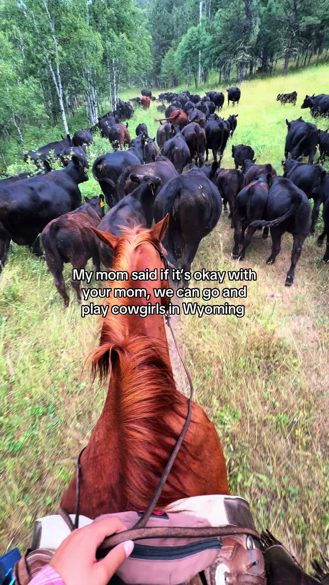 @Sarah ๐
