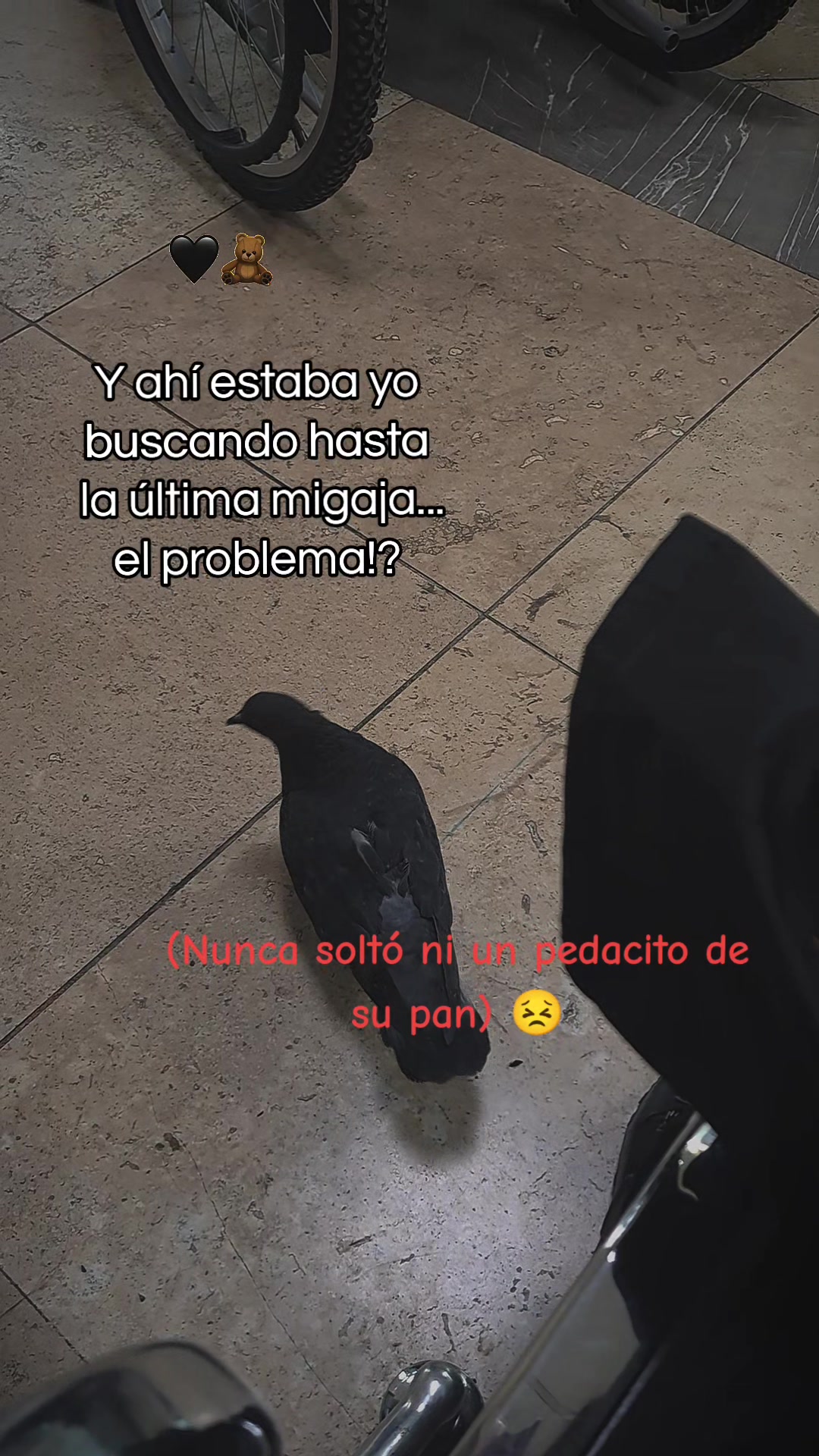 @Merywey💙 ✨️