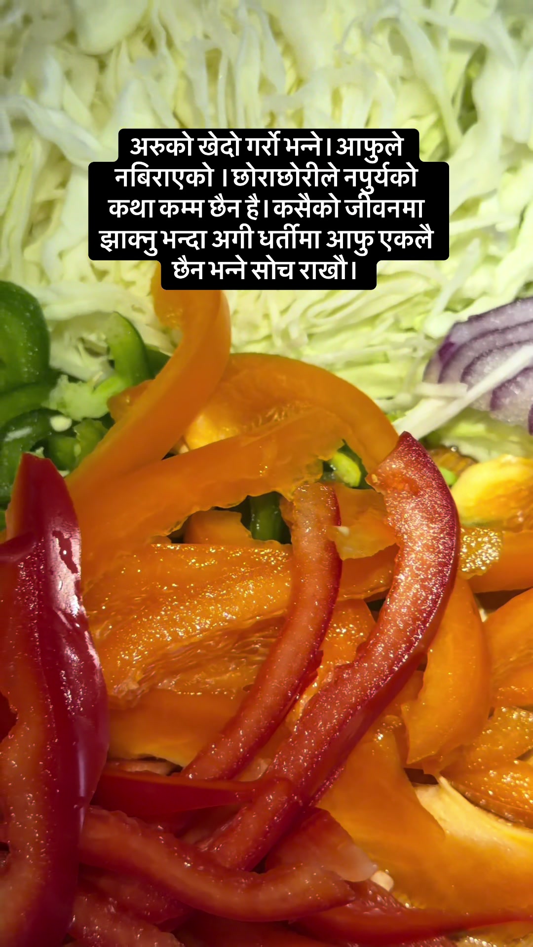 @ritachhetri12345