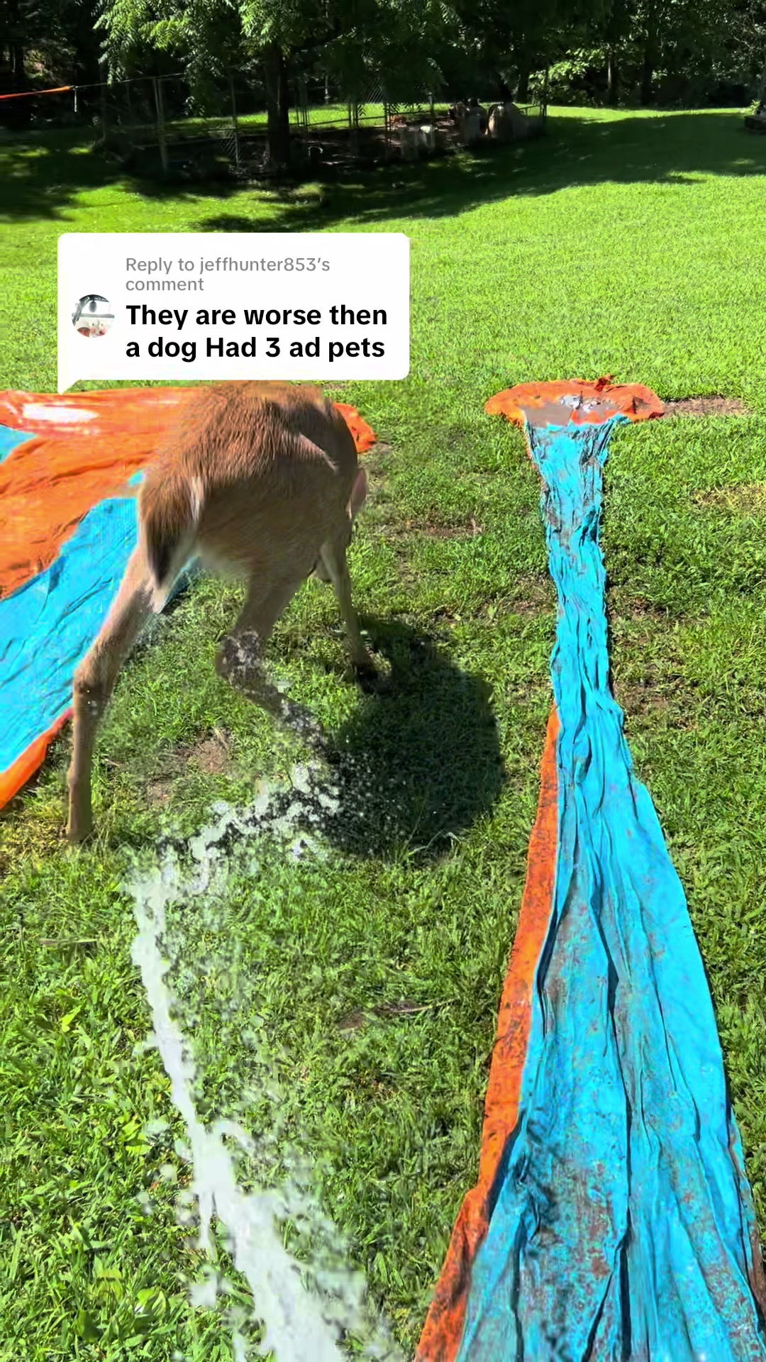 @wildflowers421