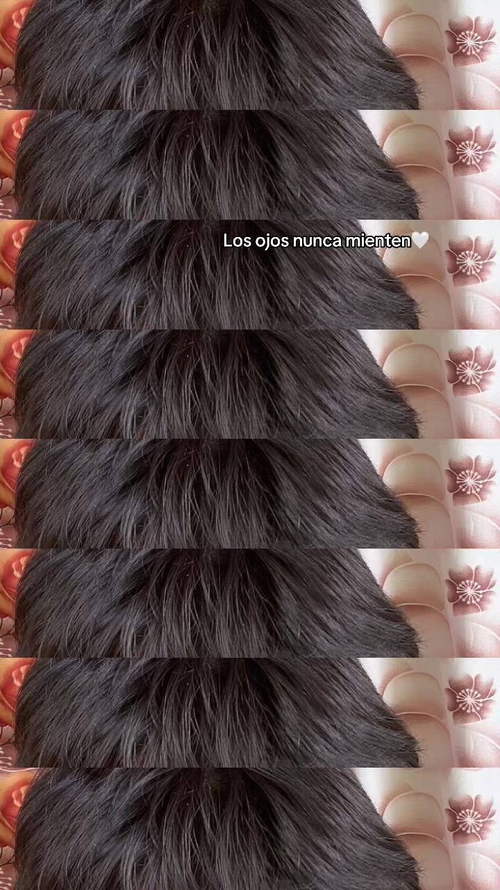 @Danny17