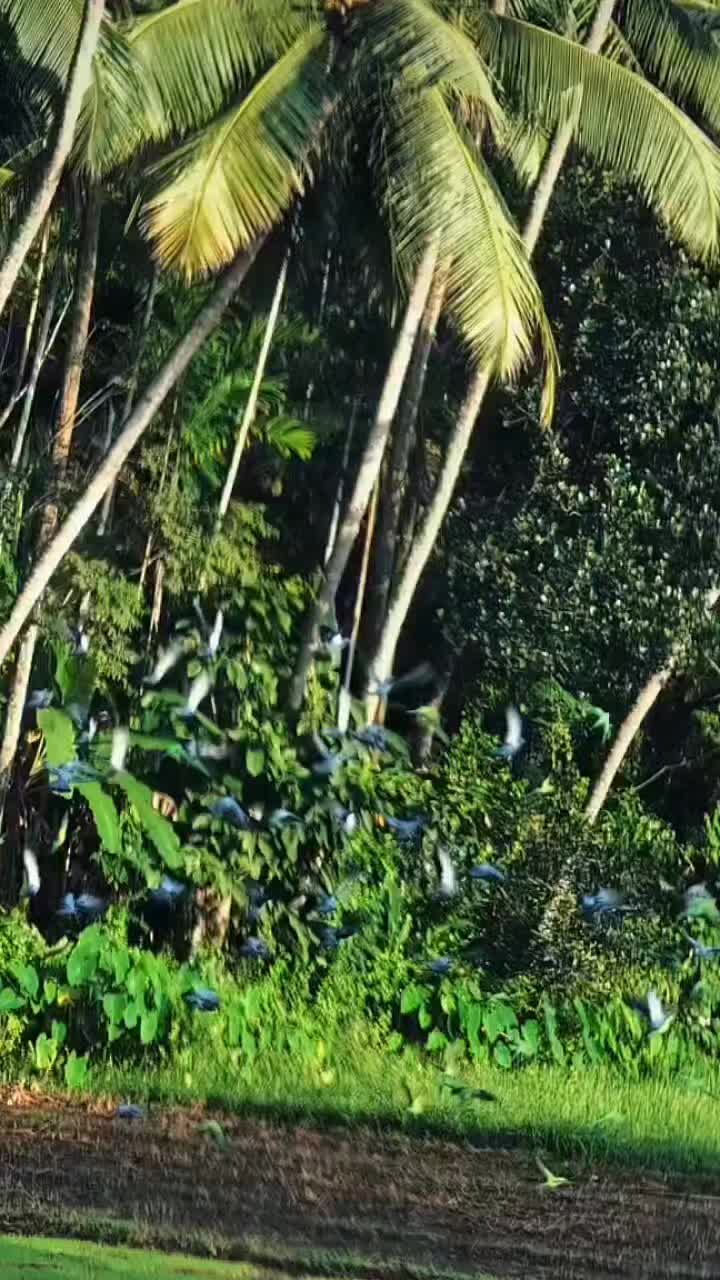 @R̶A̶S̶H̶E̶E̶D̶🌹T̶I̶R̶U̶R̶