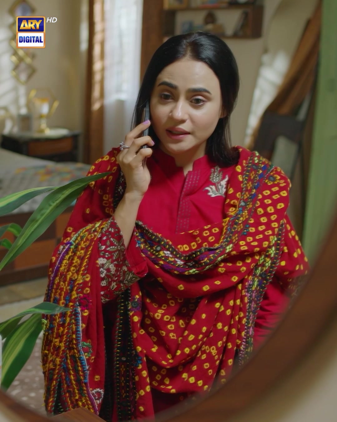 @ARY DIGITAL
