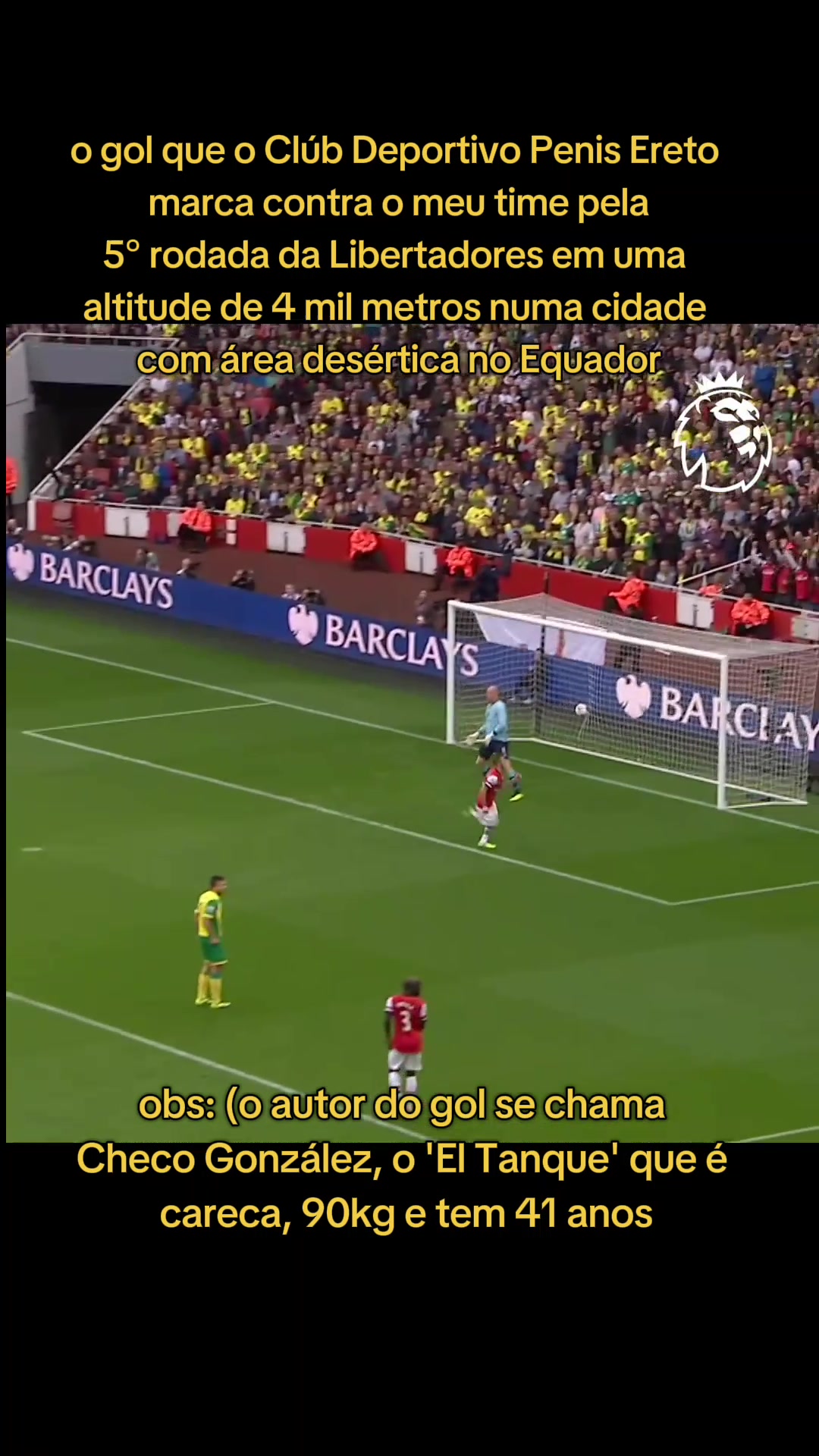 @Zuncou Fut