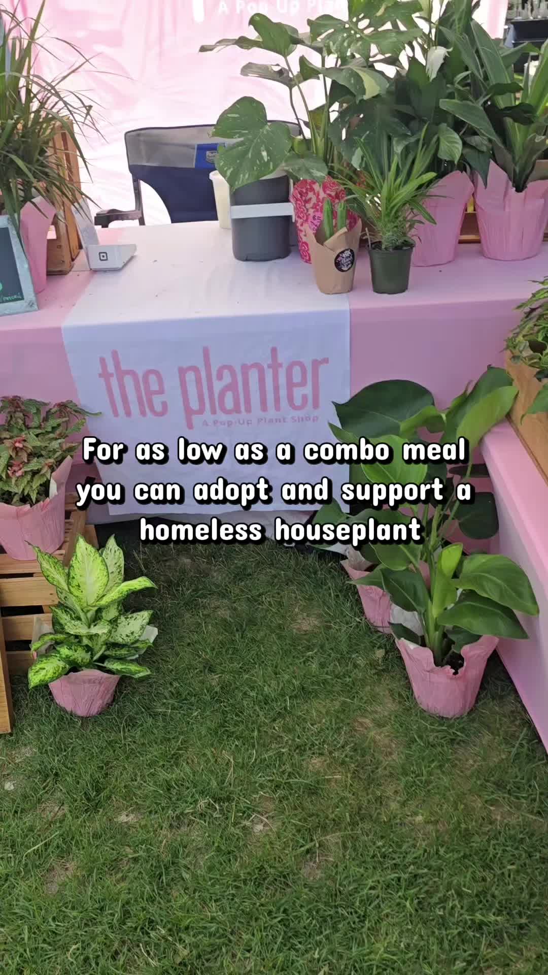 @ThePlanterPopUp