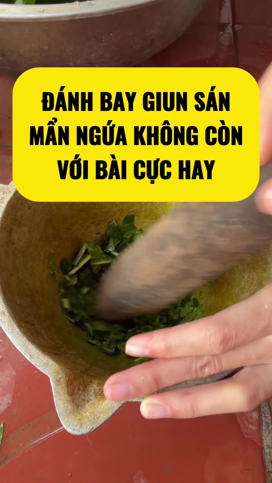 @suckhoevang98