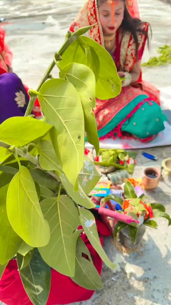 @puneeta mukesh sah❤️🥀