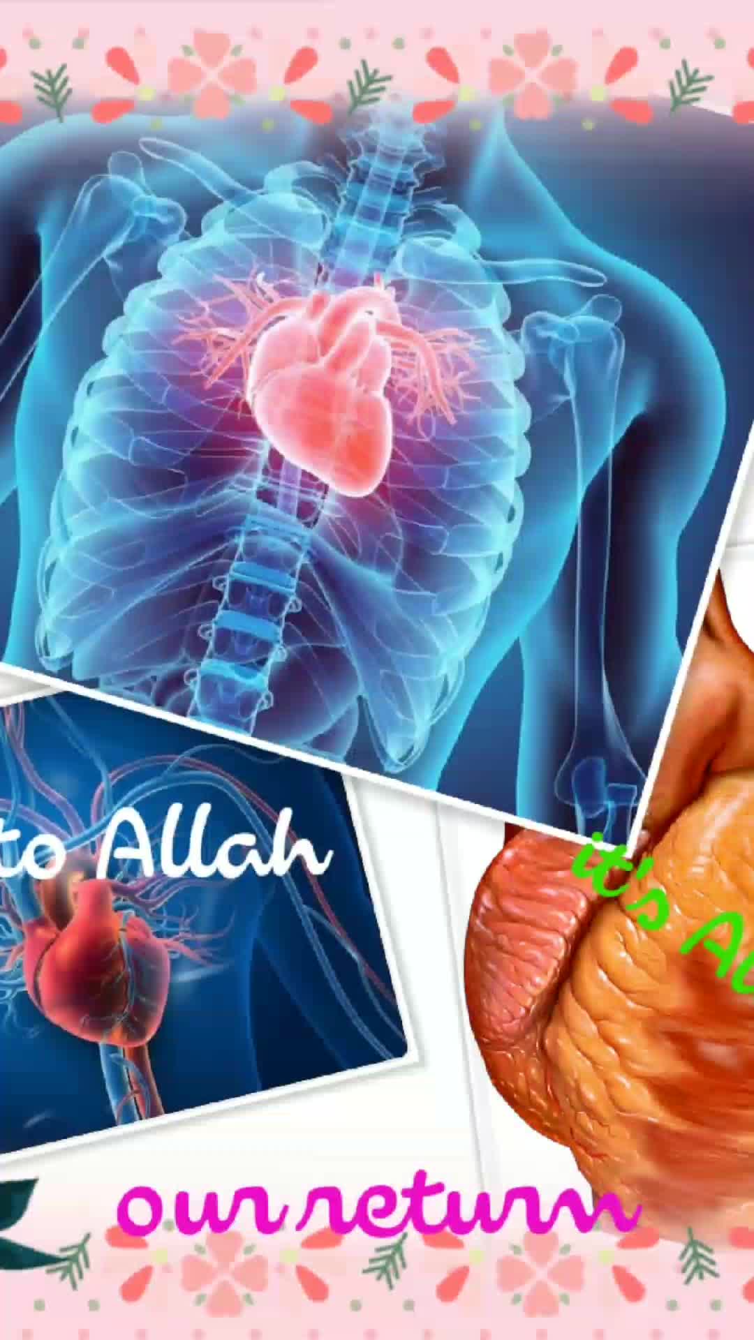 @Amir_quran🕋🪐🕌