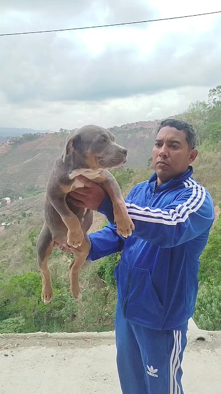@mia_bulls❤️