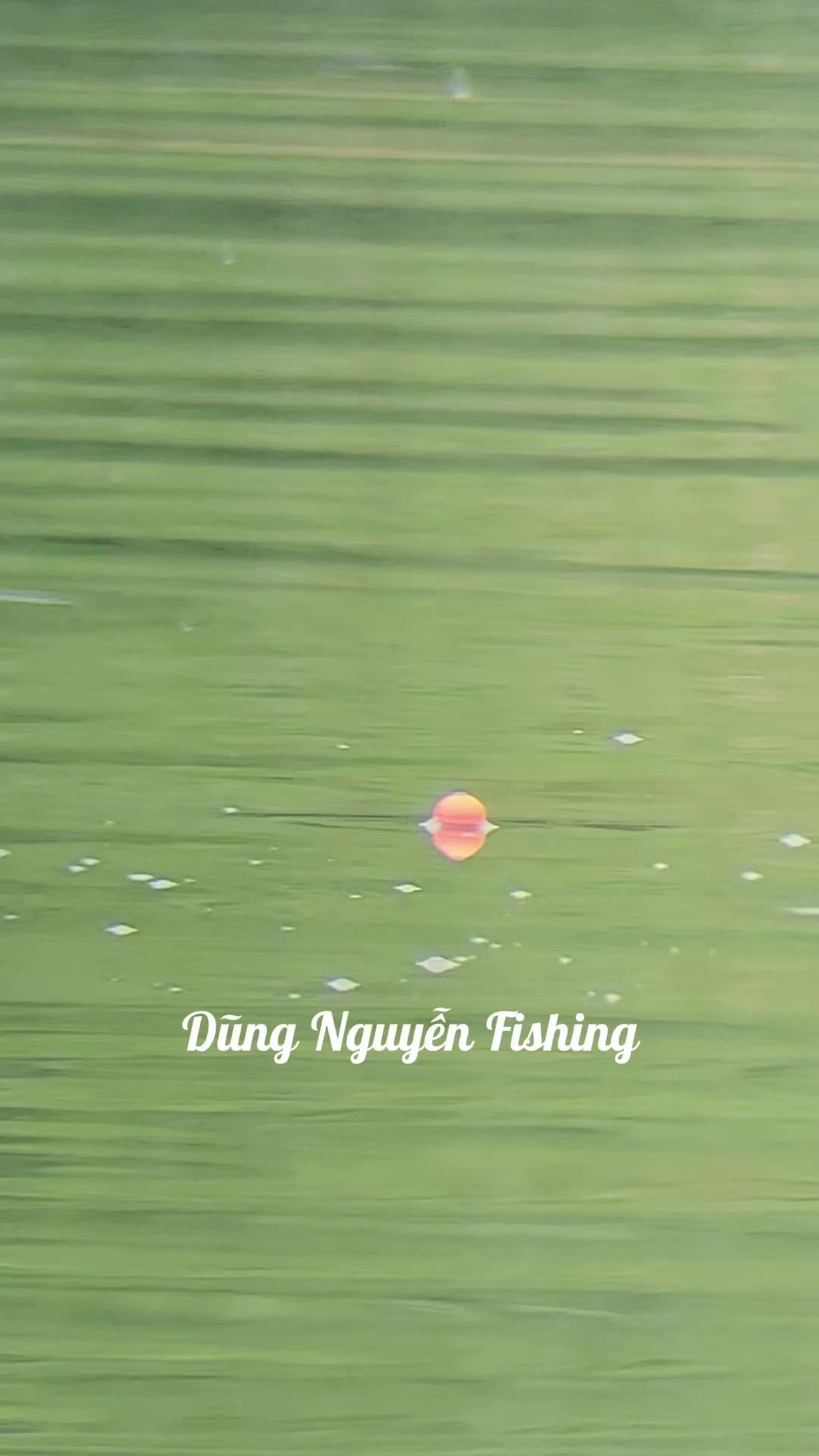 @Dũng Nguyễn Fishing