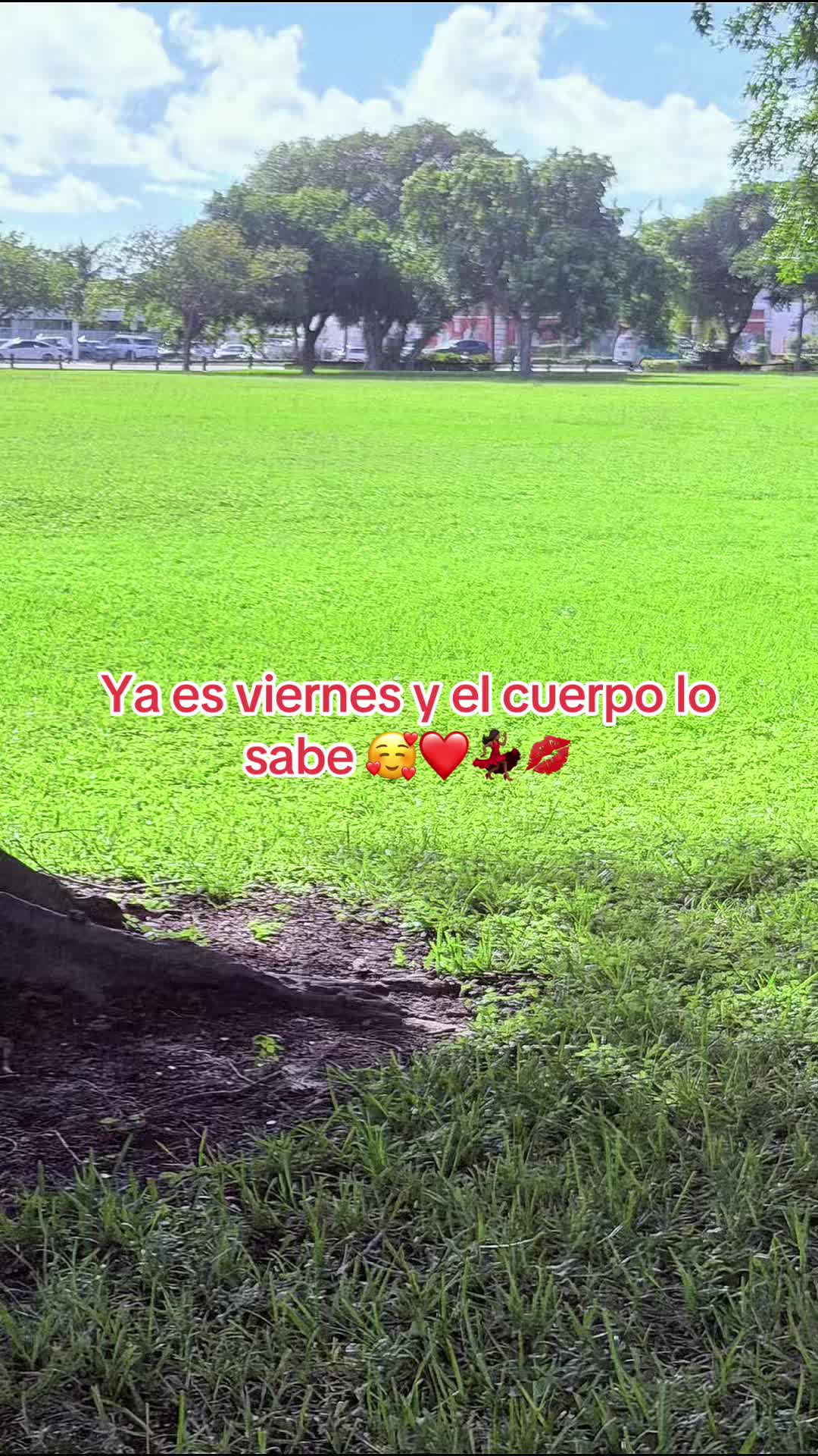 @Magdy Garcia
