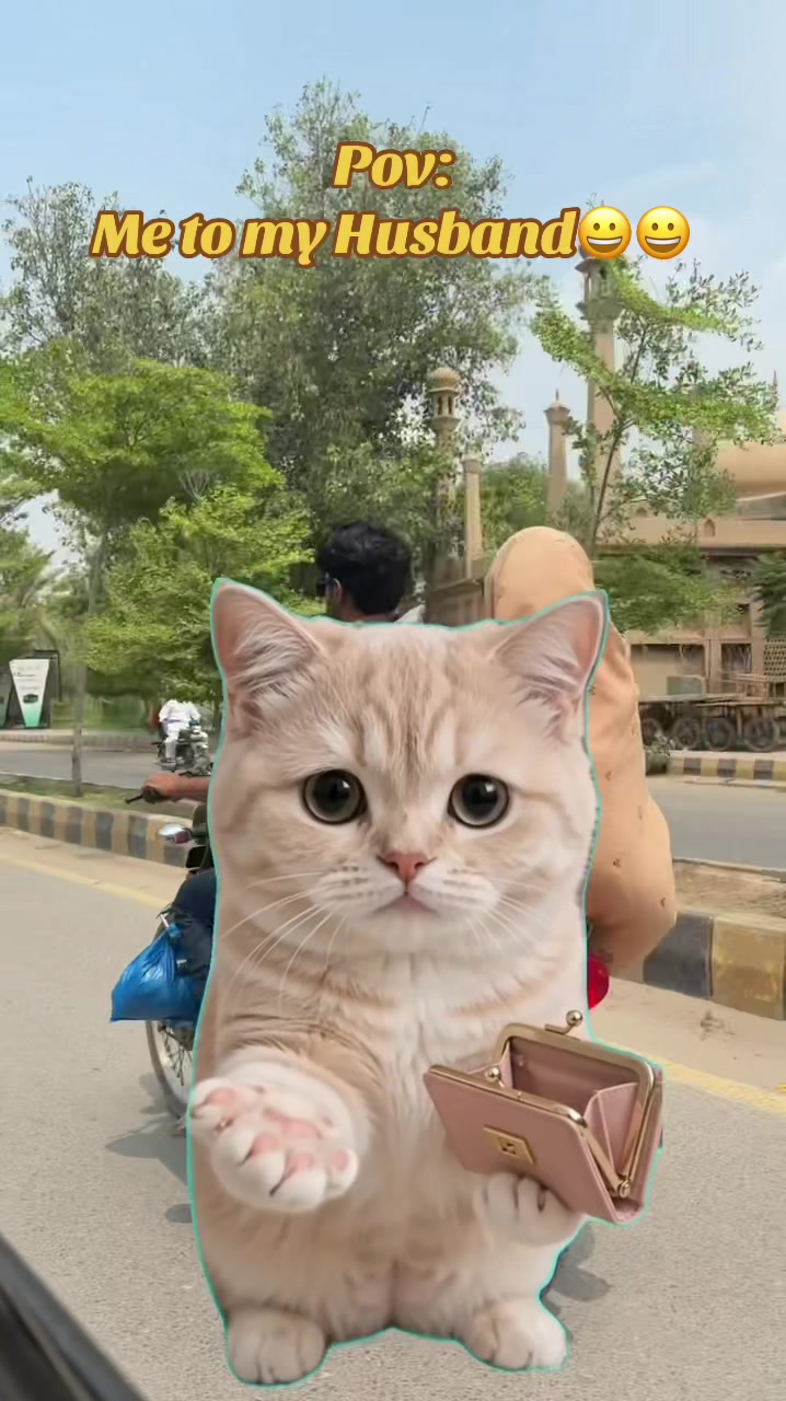 @✨🍬 🇸🇦 ѕ&omega;єєт&iota;є&bull;&nu;&iota;вєѕ🇵🇰 🍬✨