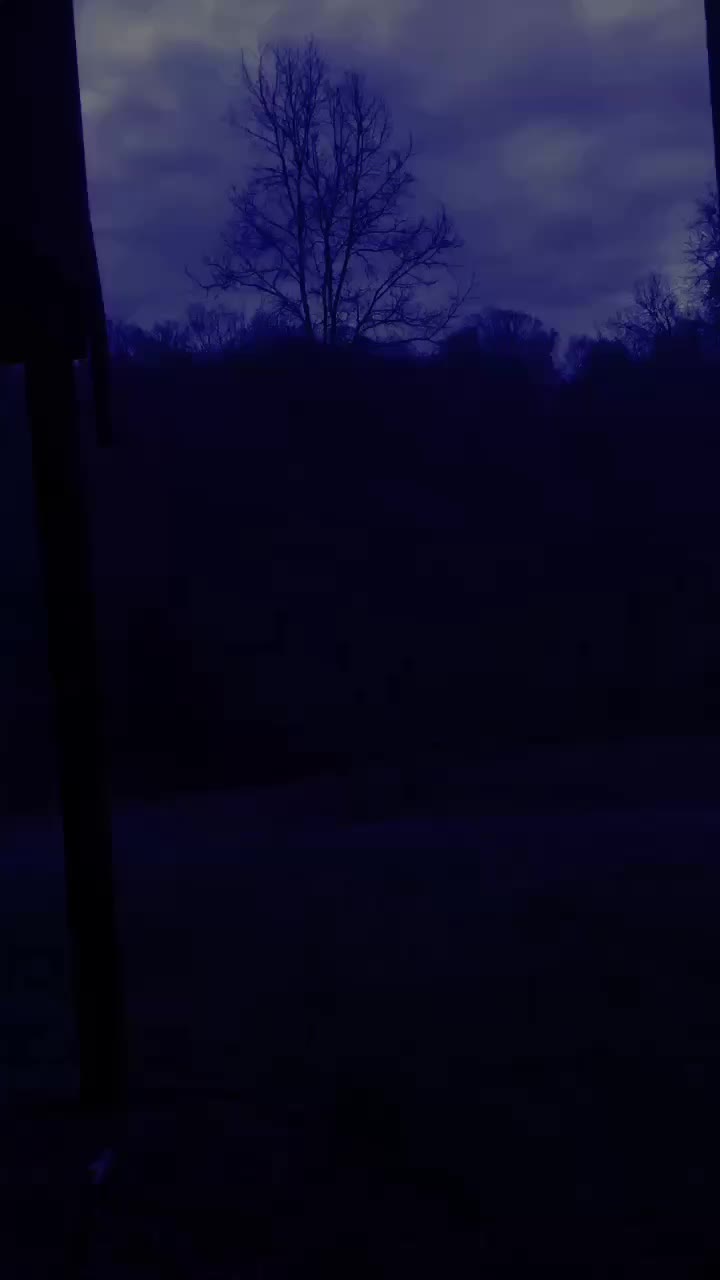 @Roryb18