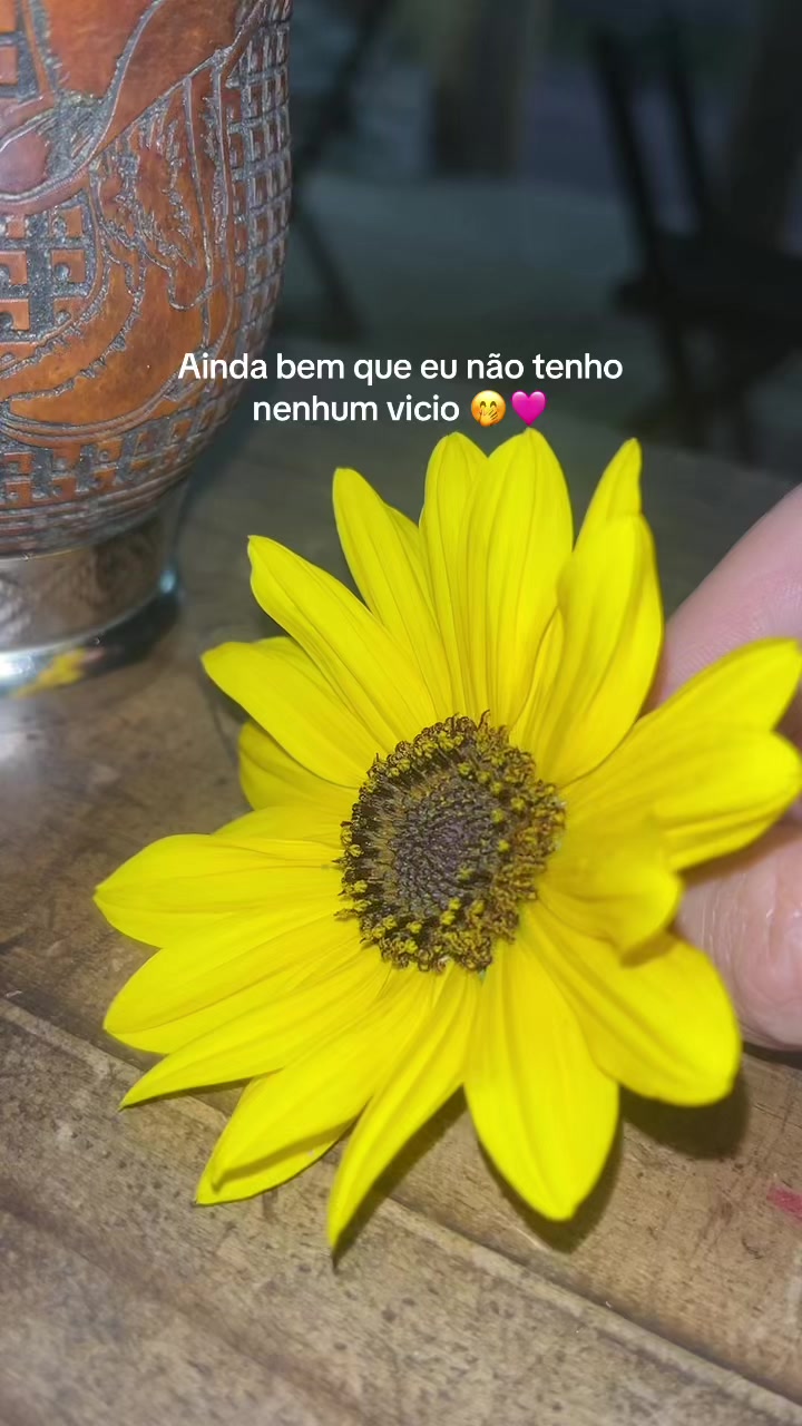 @Fran_oliveira🎀