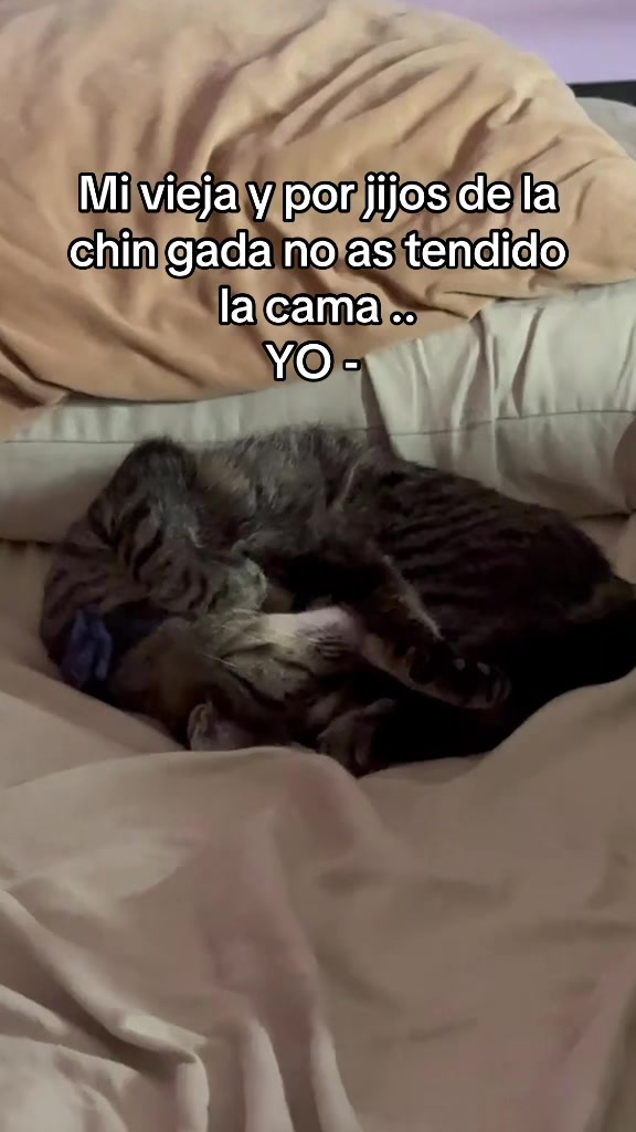 @Águila poderosa 🦅