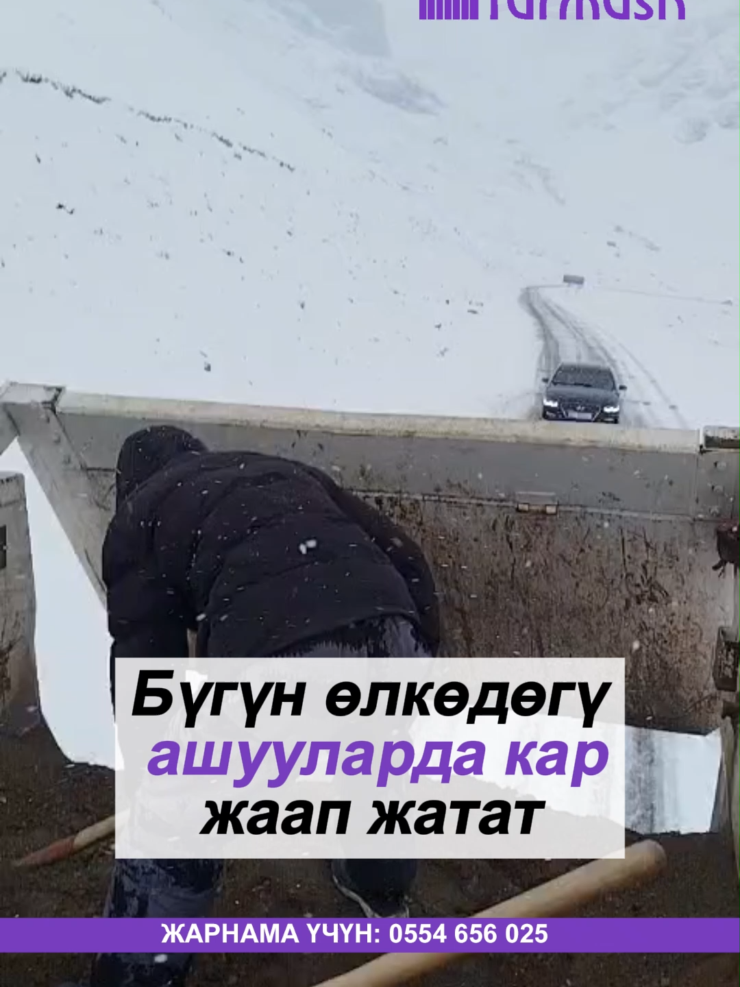 @turmush.kg__