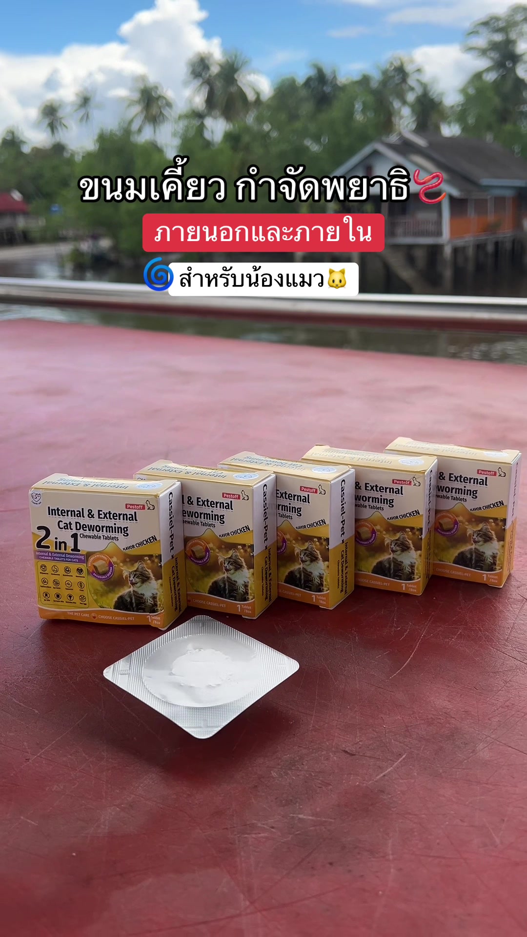 @รีวิวทุกอย่างที่ขวางหน้า.🪄