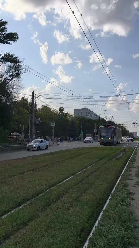 @ПСЫЖ_НАСТОЯЩИ