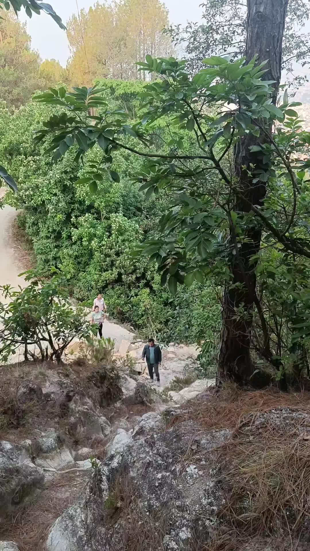 @Lalbhakta Shahi