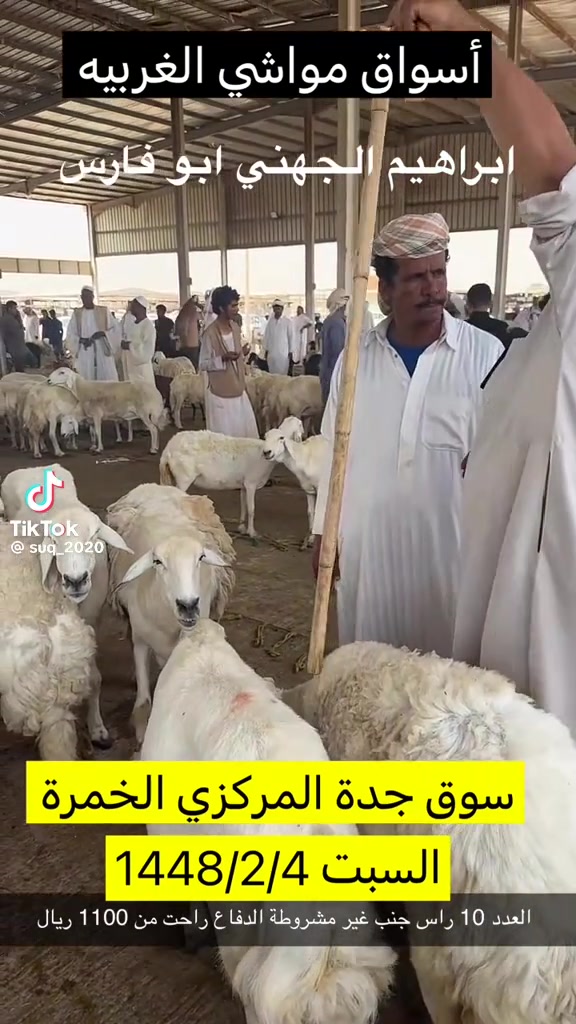 @mohamed_ksa0