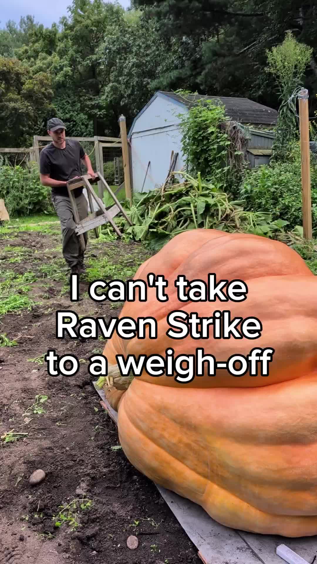 @bigpumpki