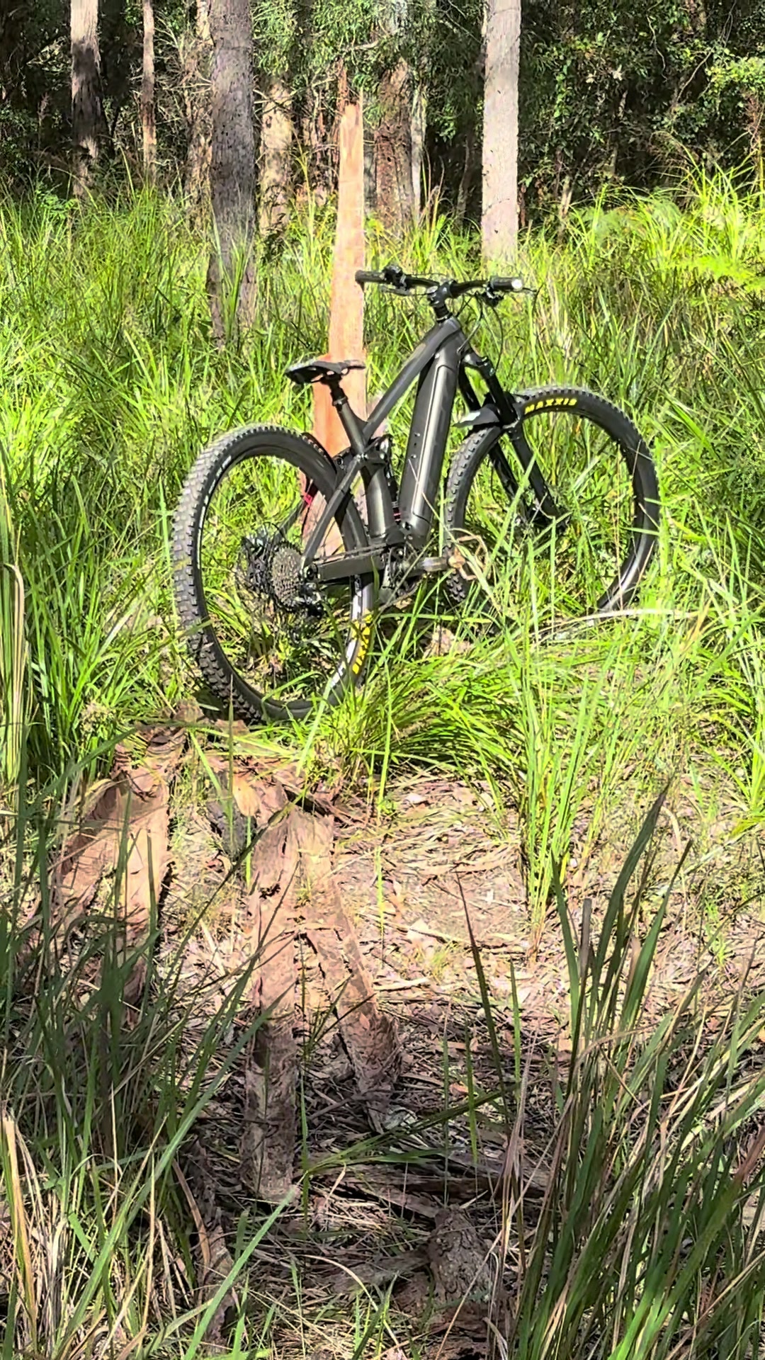 @@Cam=trek