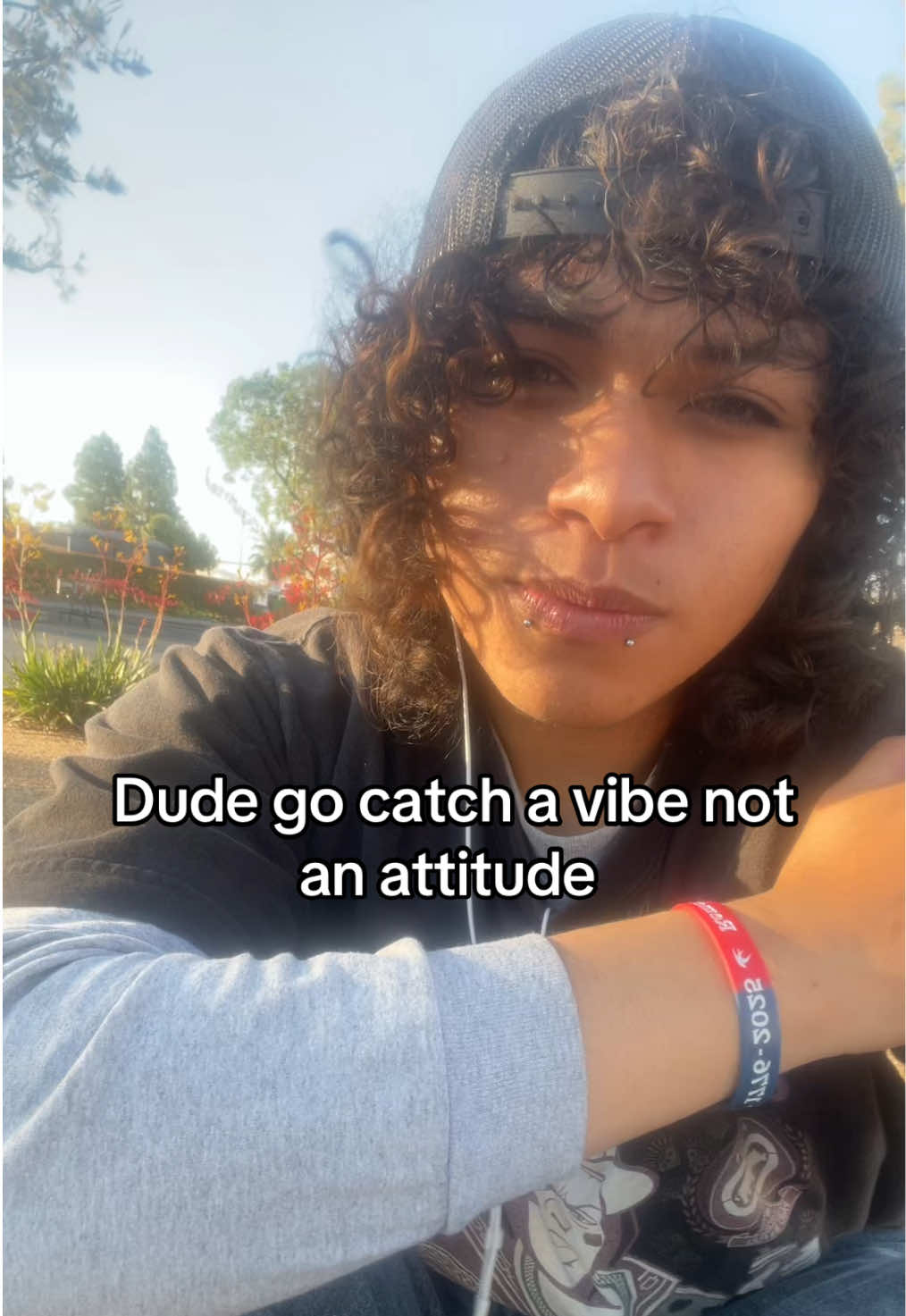 @www._.ollie
