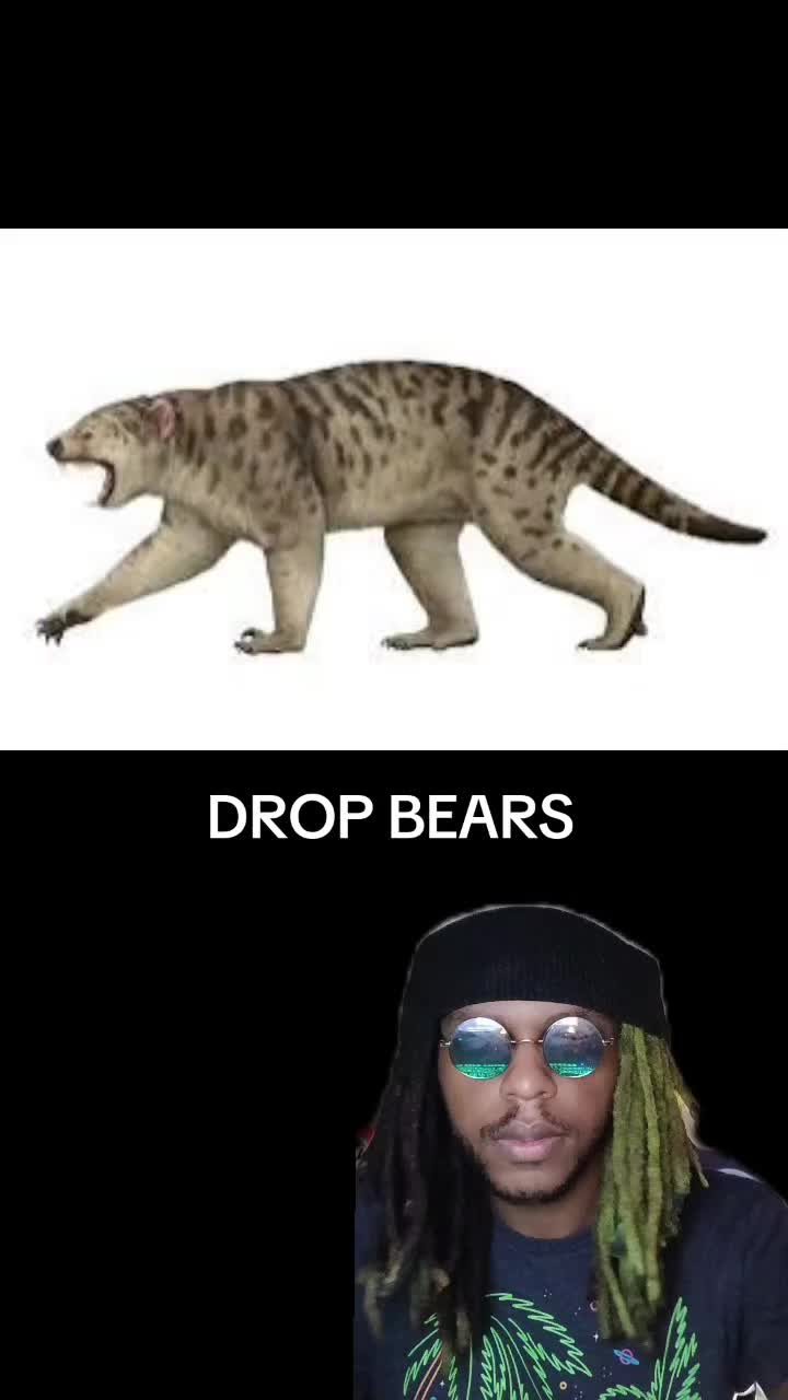 @YourNeighborhoodSchizo