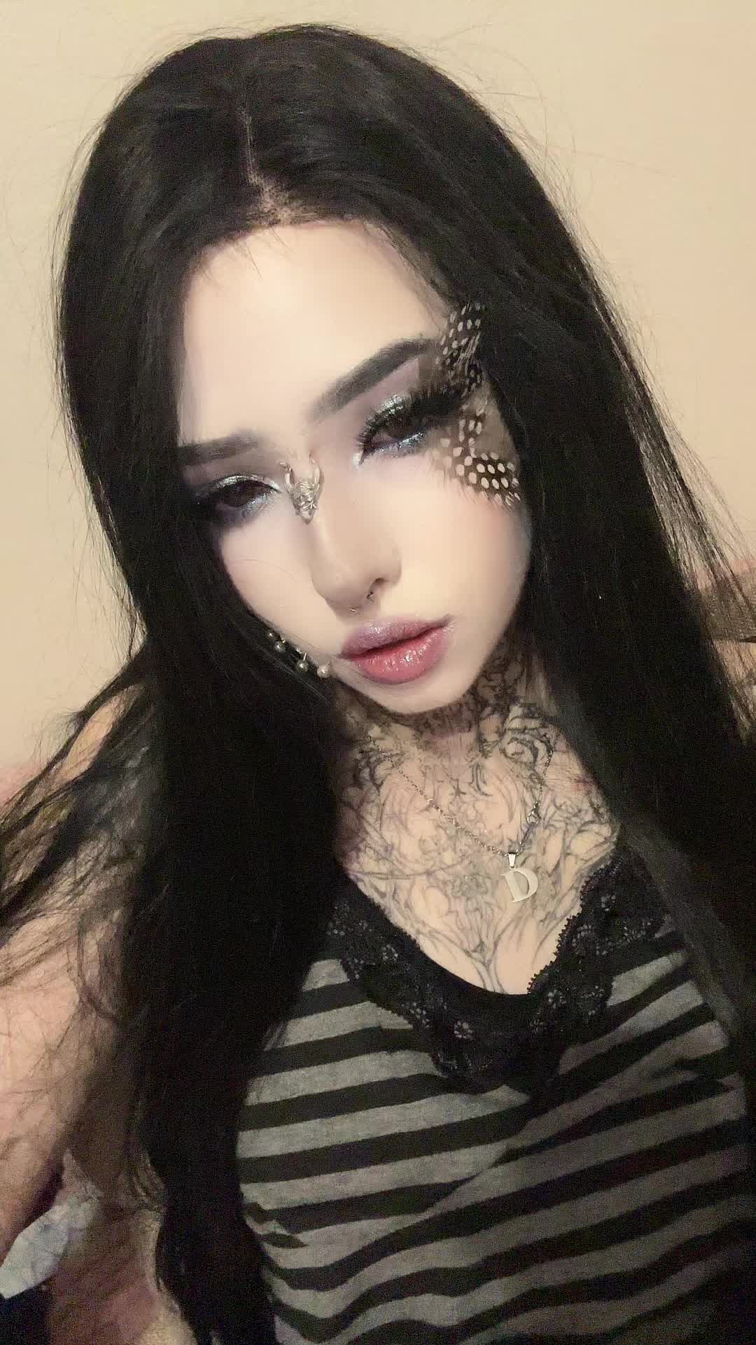 @dark dynasty