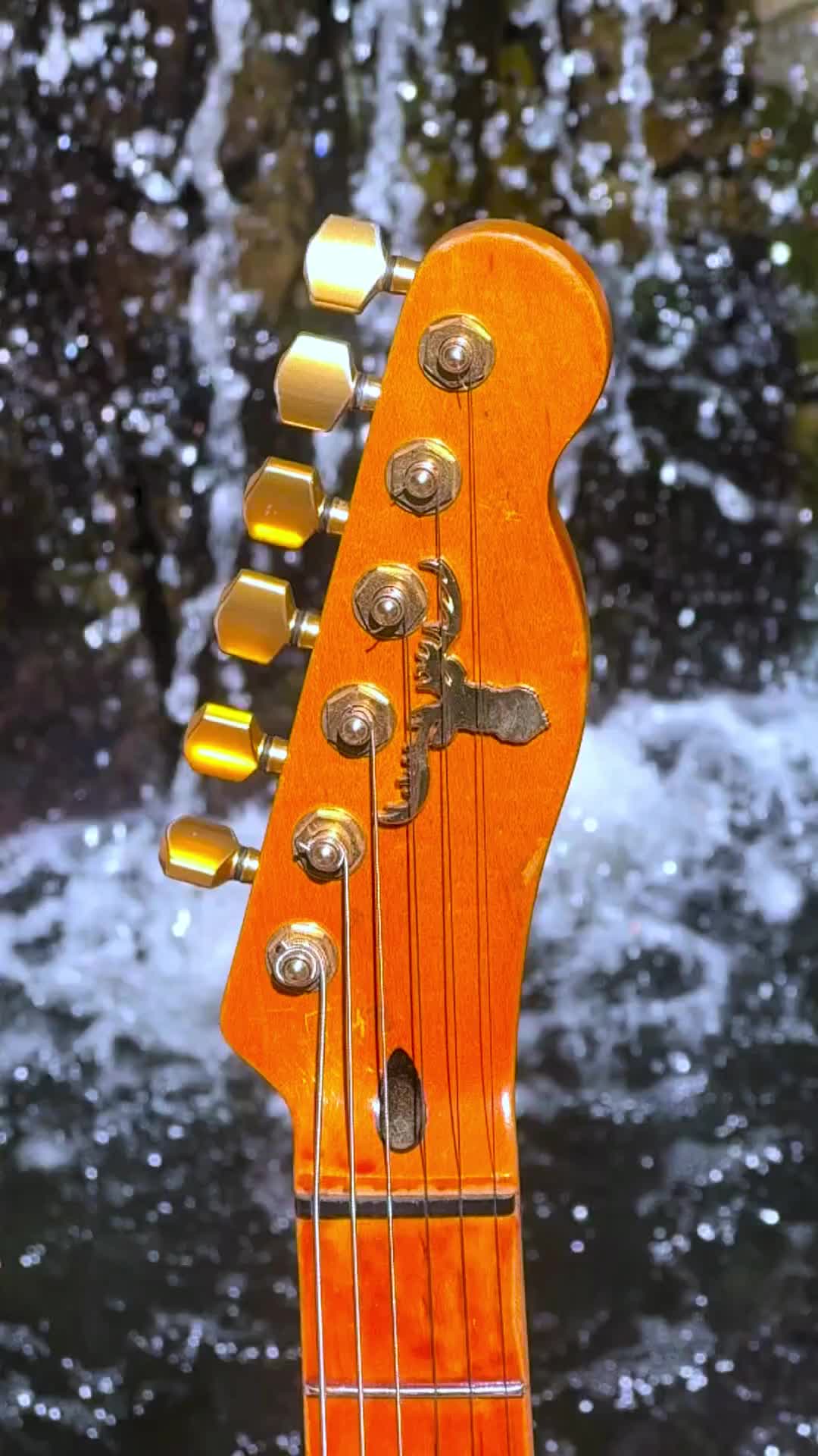 @ajandthewoods