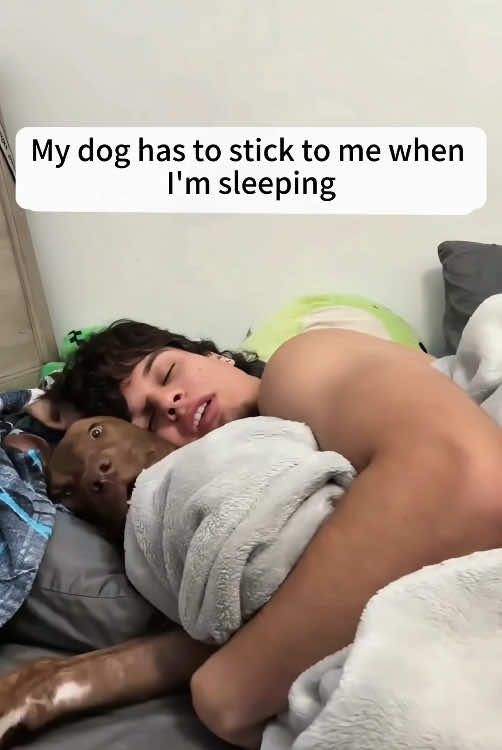 @funnyanimalvideo99