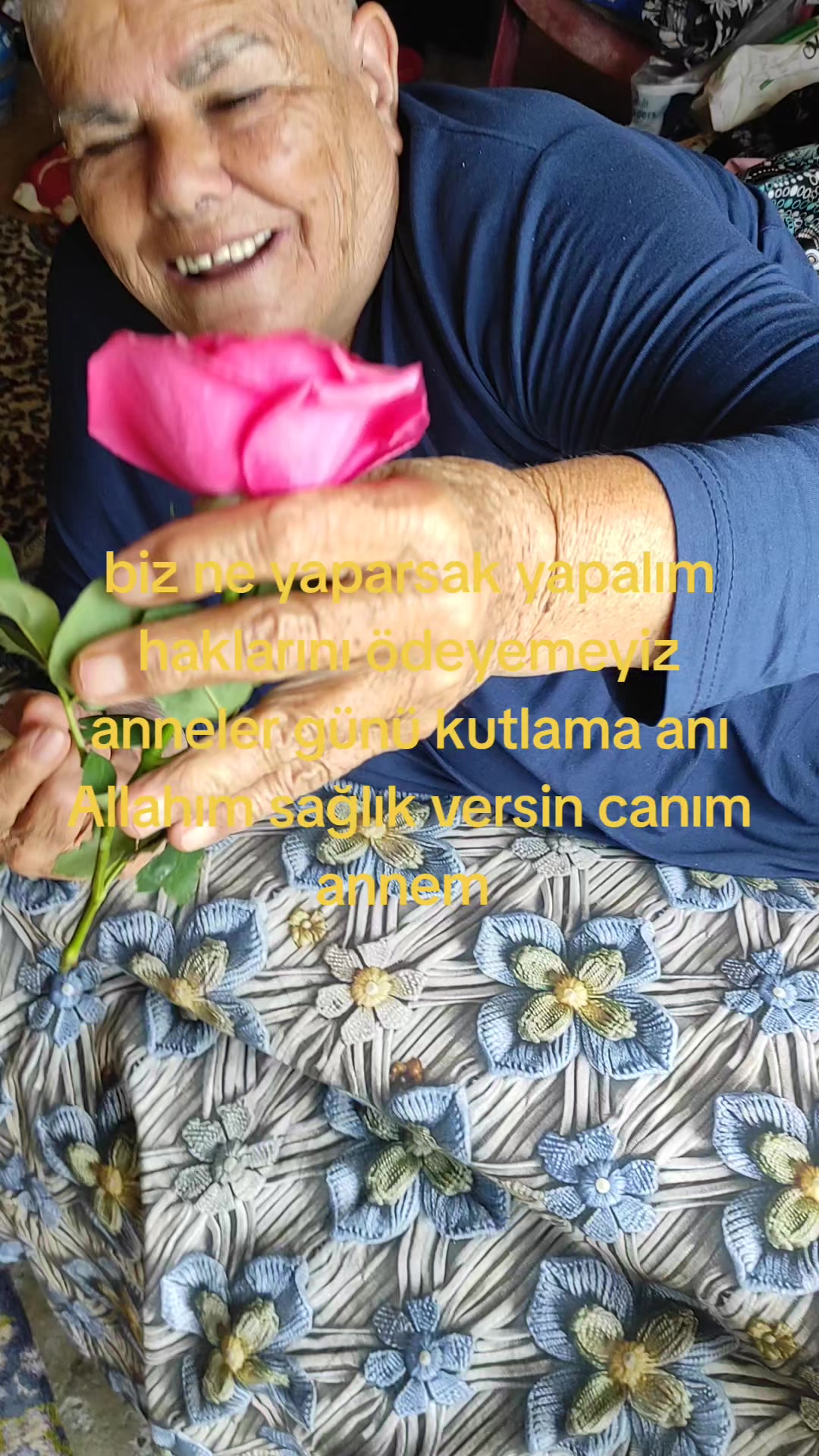 @alikardakk01