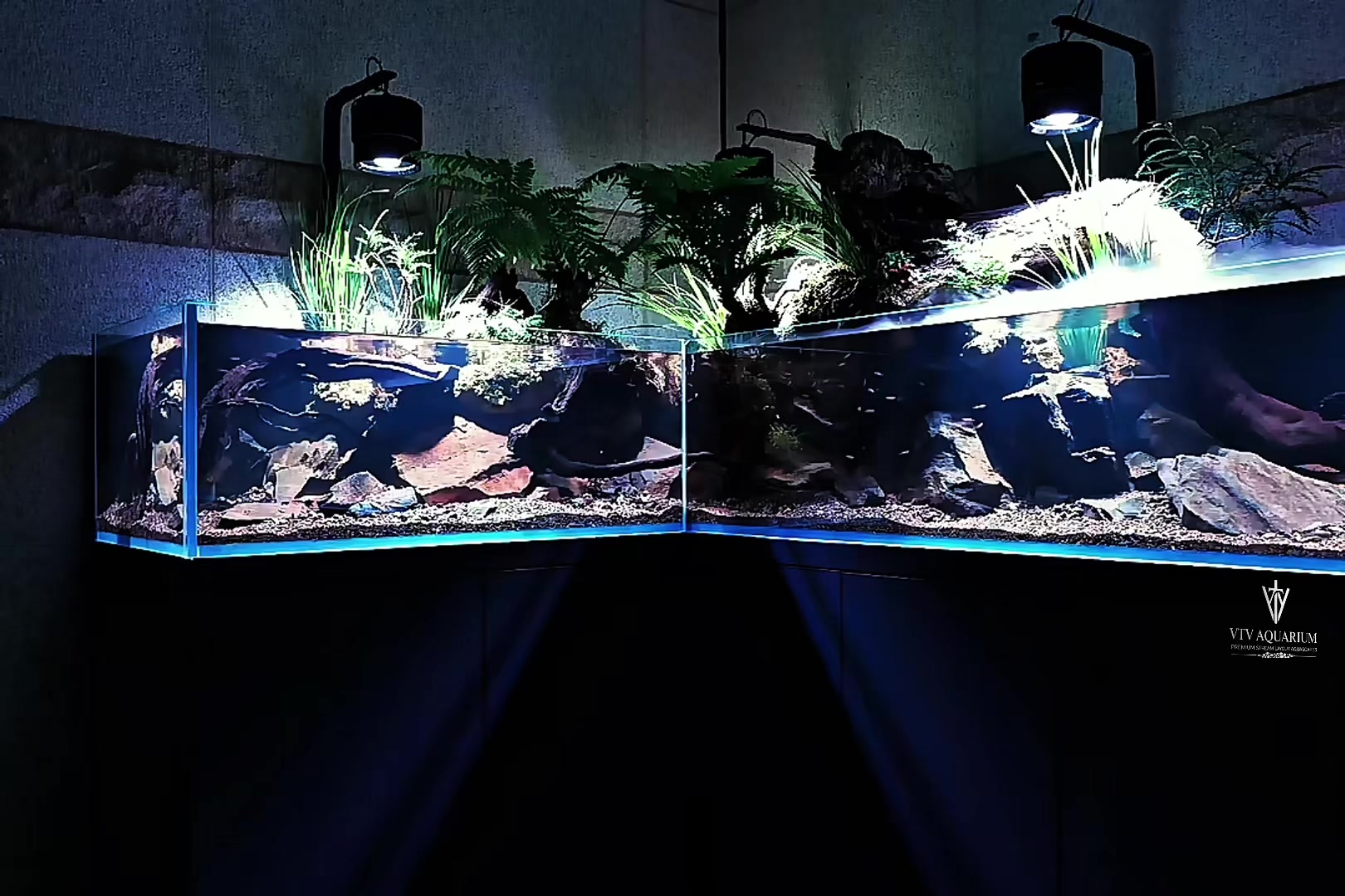 @Layout Biotope Sài Gòn VTV
