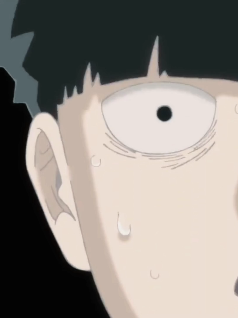 @shigeo_core