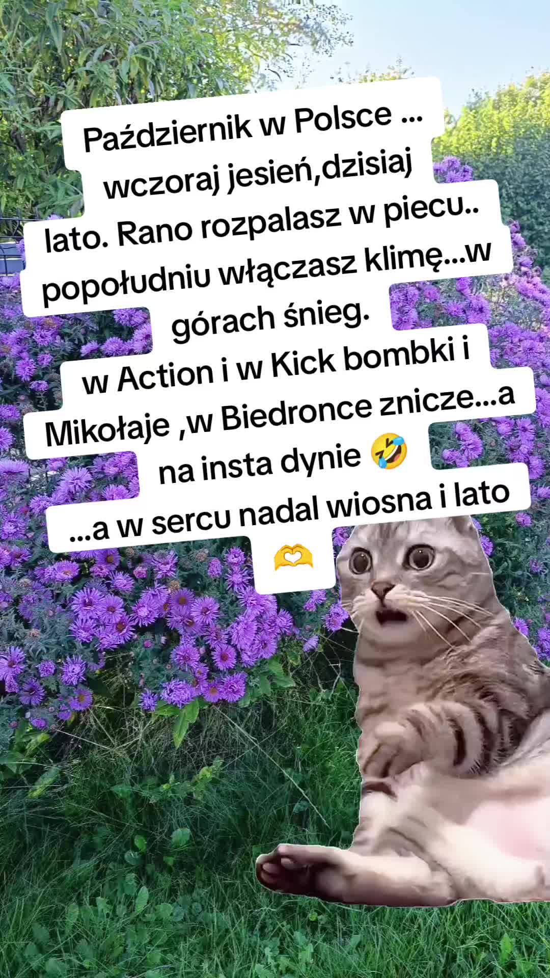 @Kasia_❤️Sommer❤️