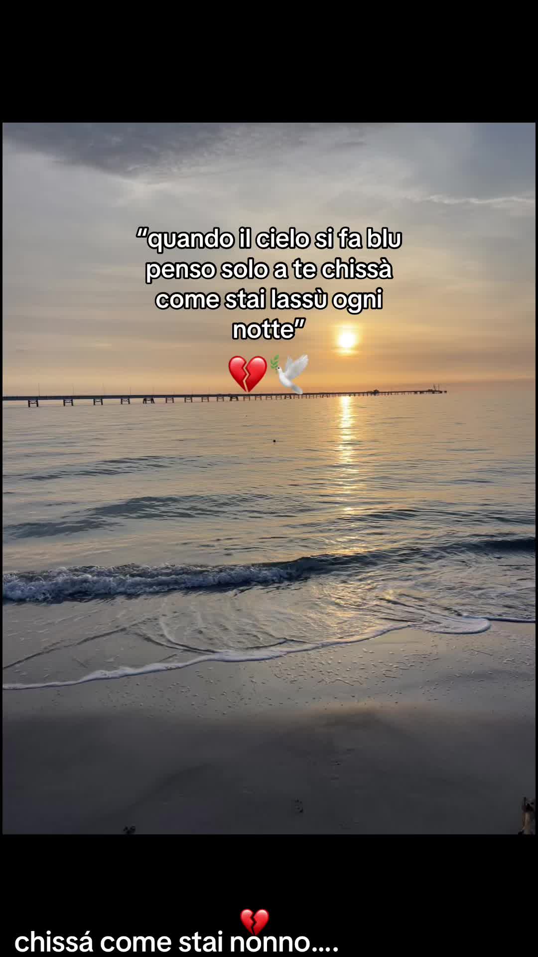 @ℳ🐆🦋