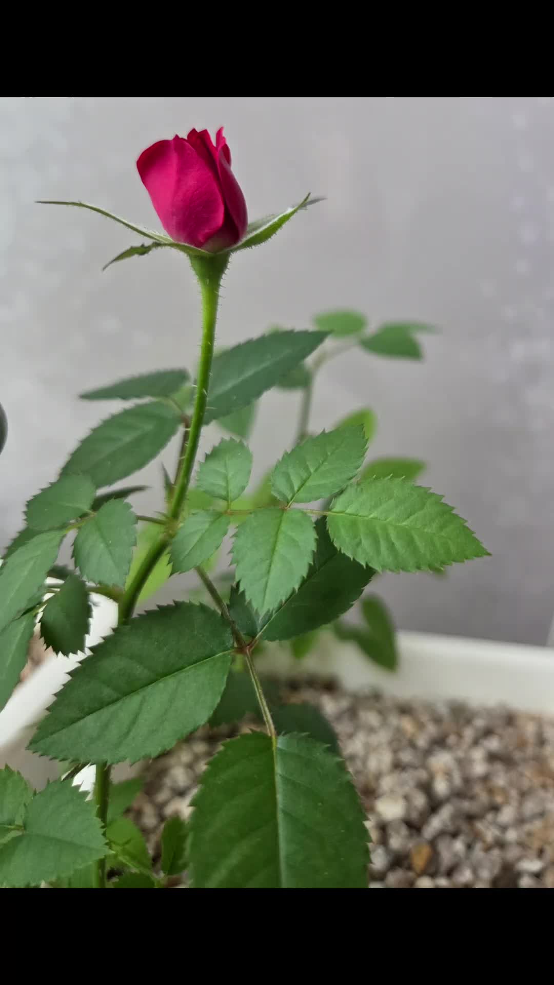 @법무사