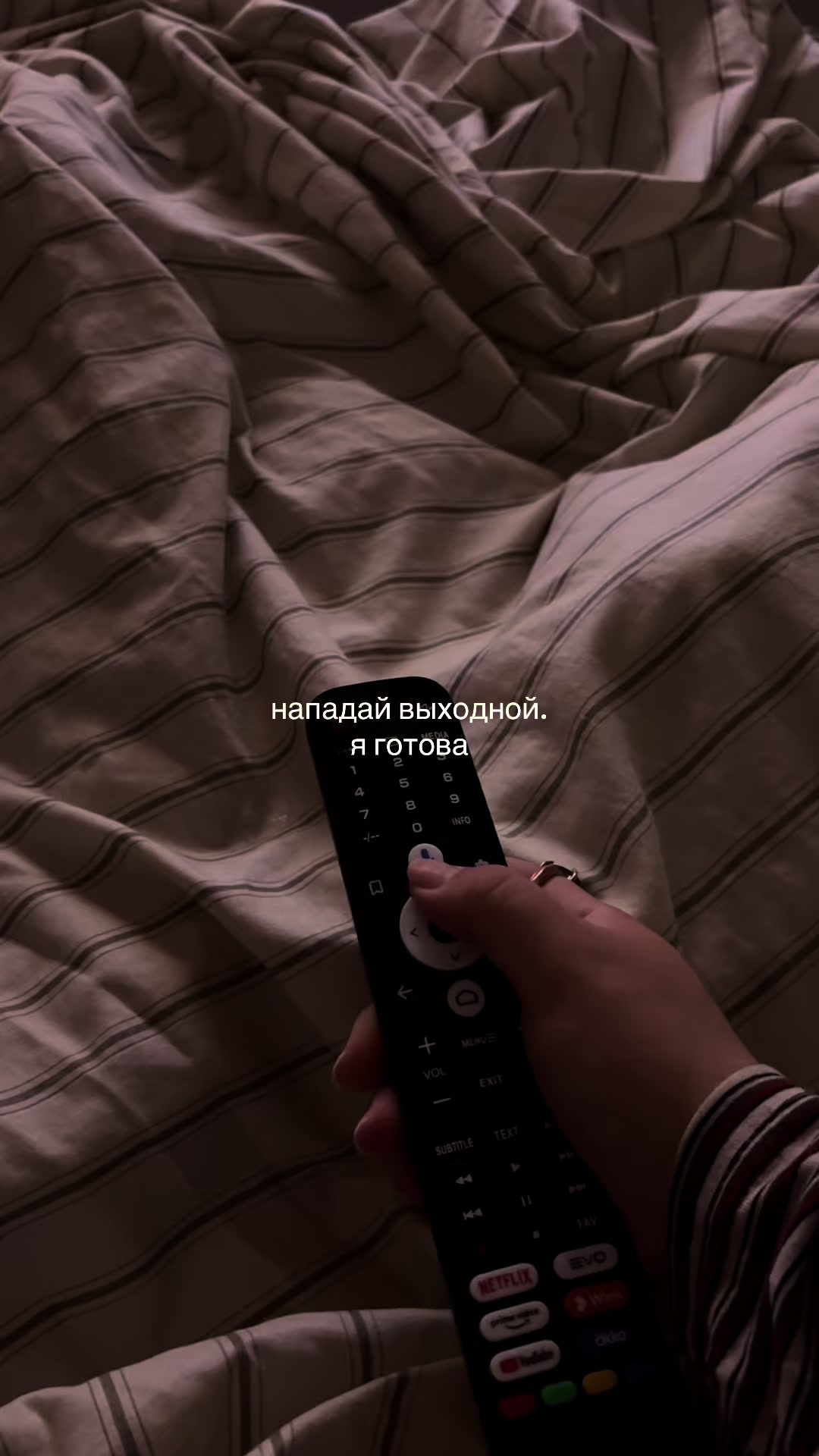 @༘⋆ the pixie diaries ྀི