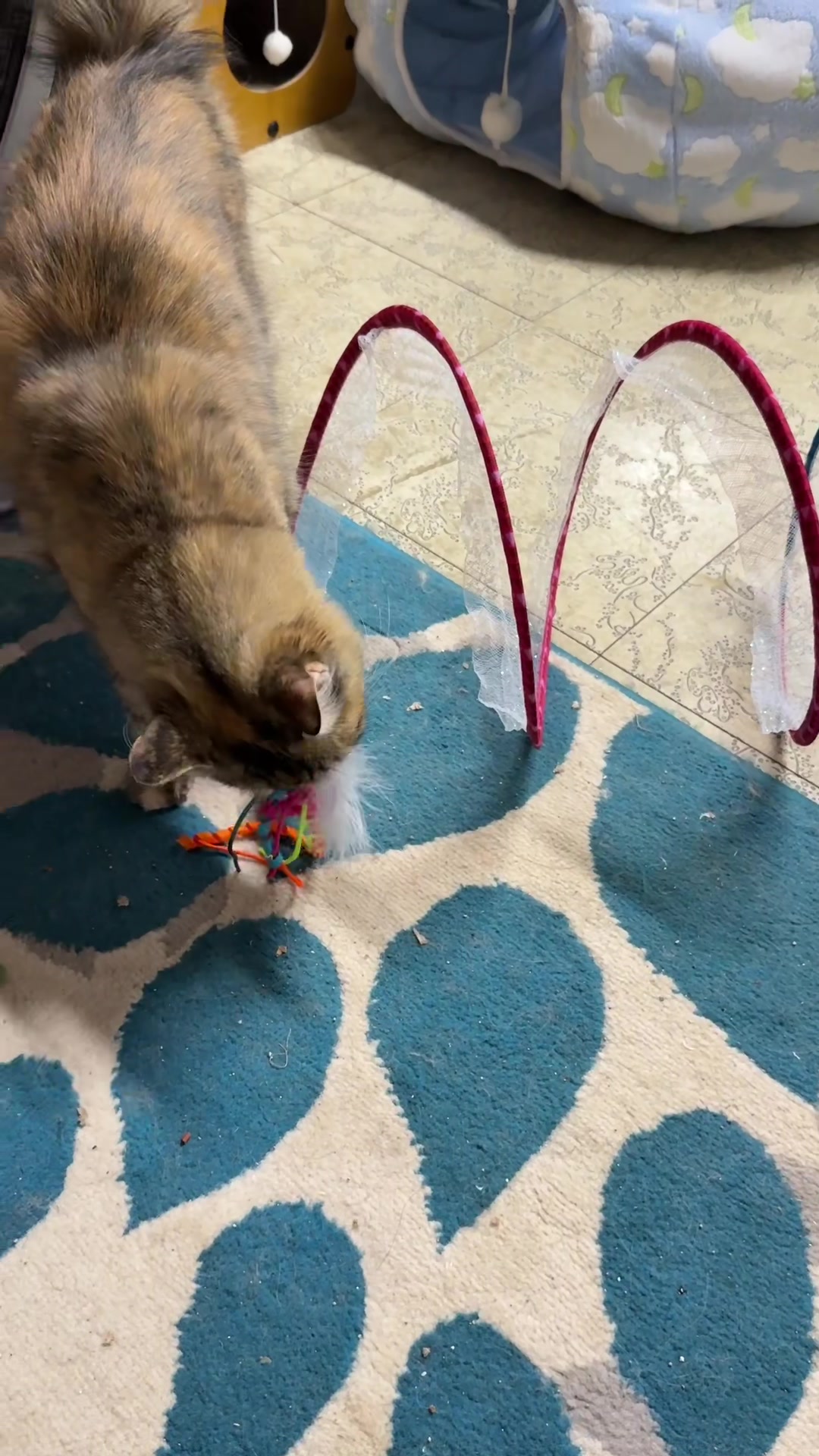 @CraftyLori🧵sews rite