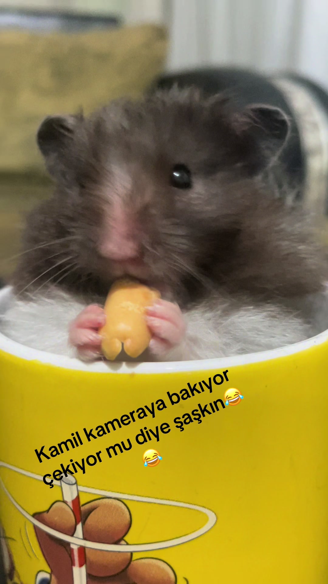@😱BEN YAPMADIM BEN SU&Ccedil;SUZUM😱