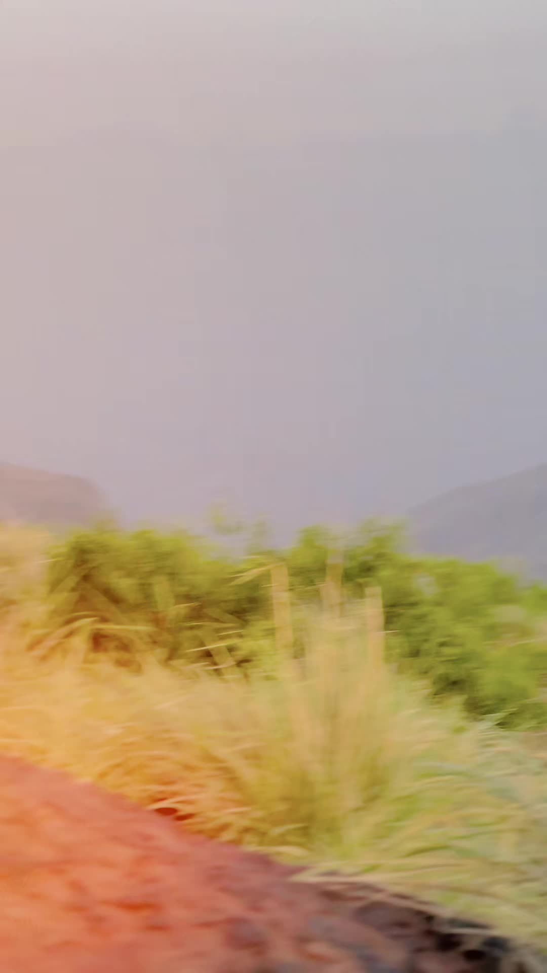 @꧁✧ 𝘏 𝘢 𝘮 𝘢 𝘥 ࿐
