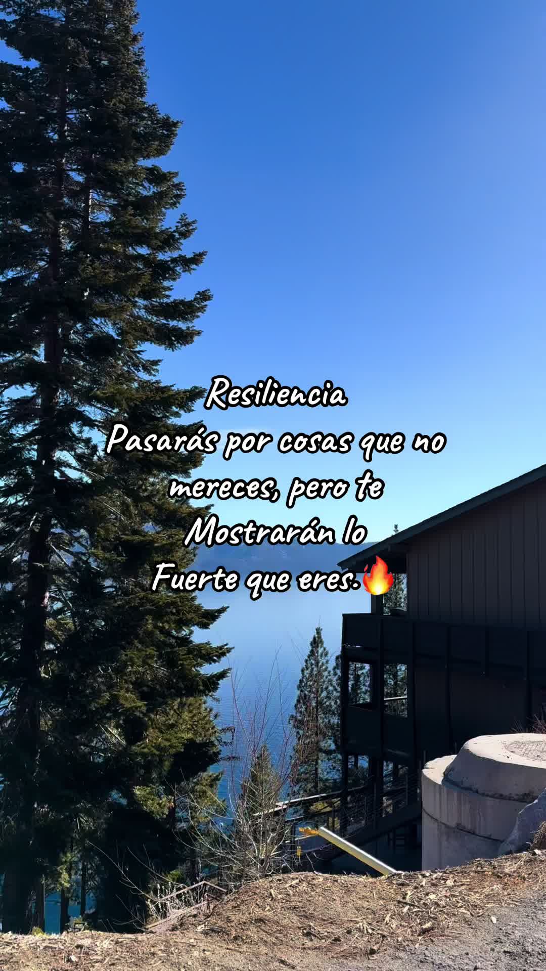 @alex.pg253