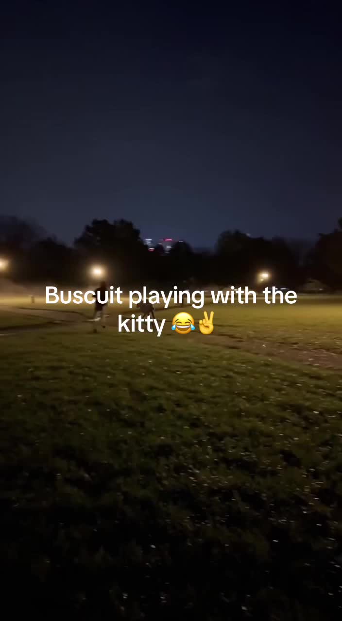 @Zisc