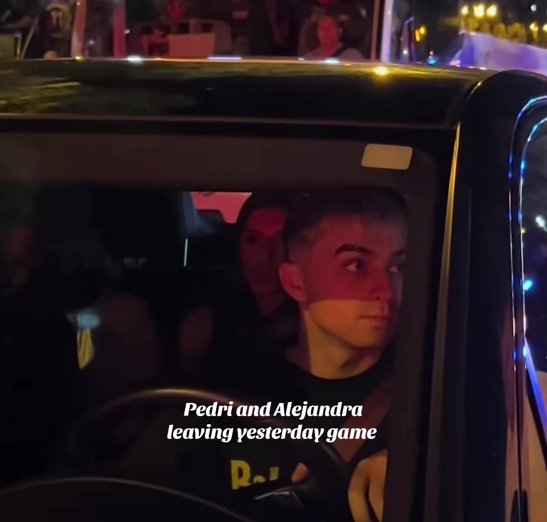 @alepedri.updates